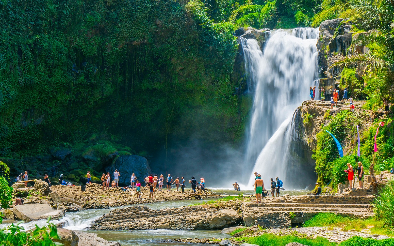 Ubud: ATV Adventure with Sacred Monkey Forest & Tegalalang Rice Terrace — gallery 2