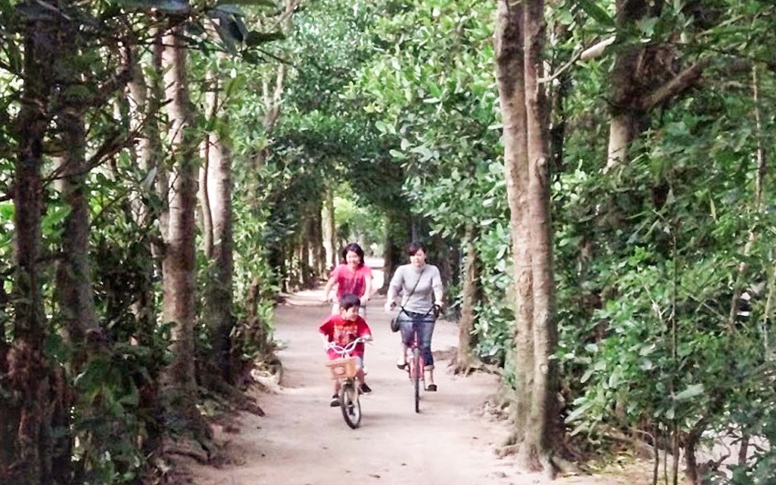 Okinawa Hip Hop Bus Tour with Churaumi Aquarium, Glass Boat Ride & American Village