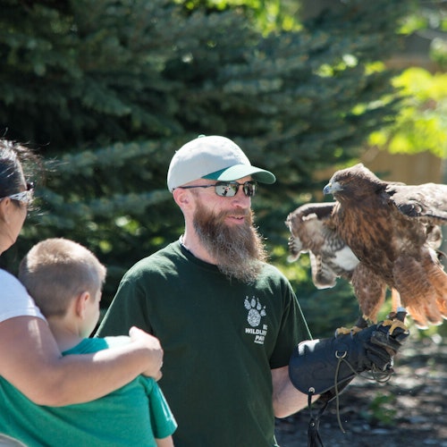 BC Wildlife Park: Entry Ticket — gallery 4