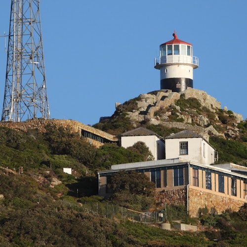 Table Mountain & Cape Point: Small-Group Tour — gallery 5
