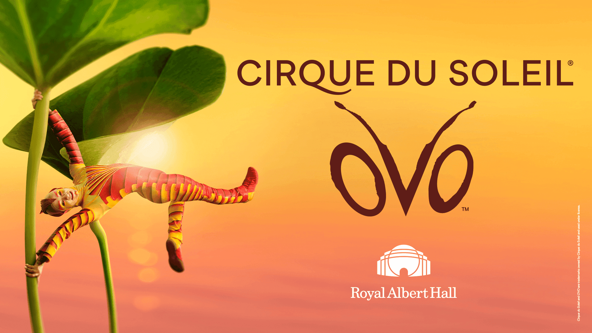 Cirque du Soleil OVO — landscape