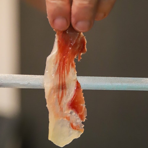 Barcelona: Guided Essential Ham Tasting Experience — gallery 2
