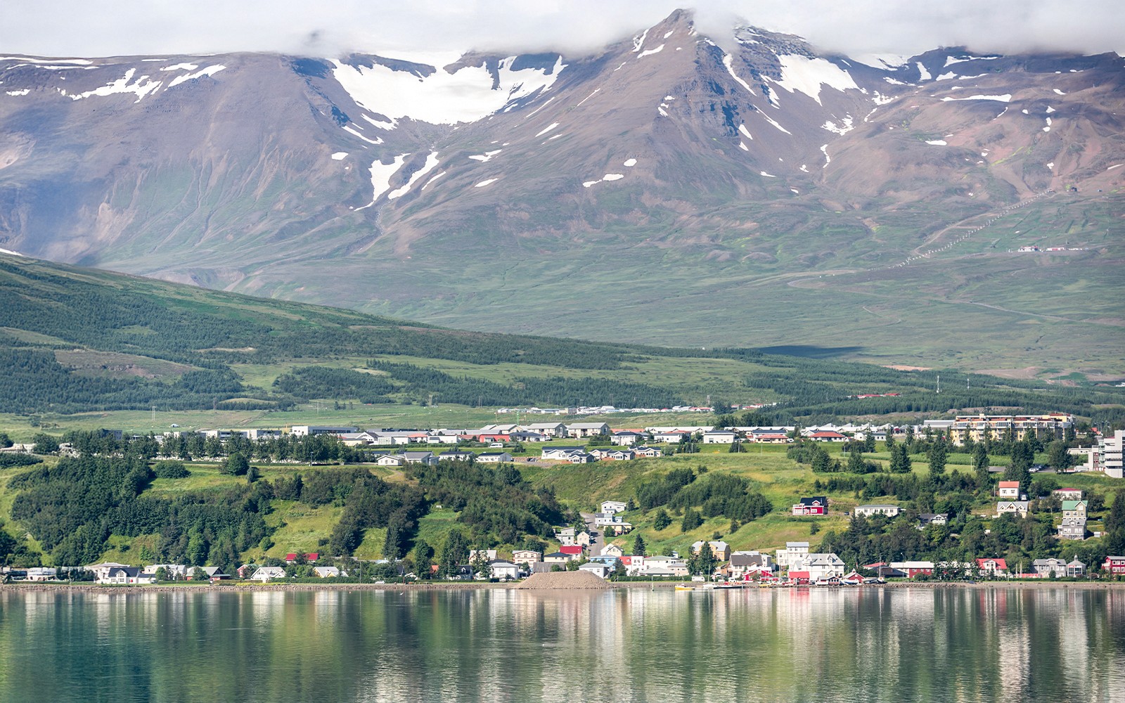 Akureyri: Whale Watching Tour on RIB Speedboat — gallery 2