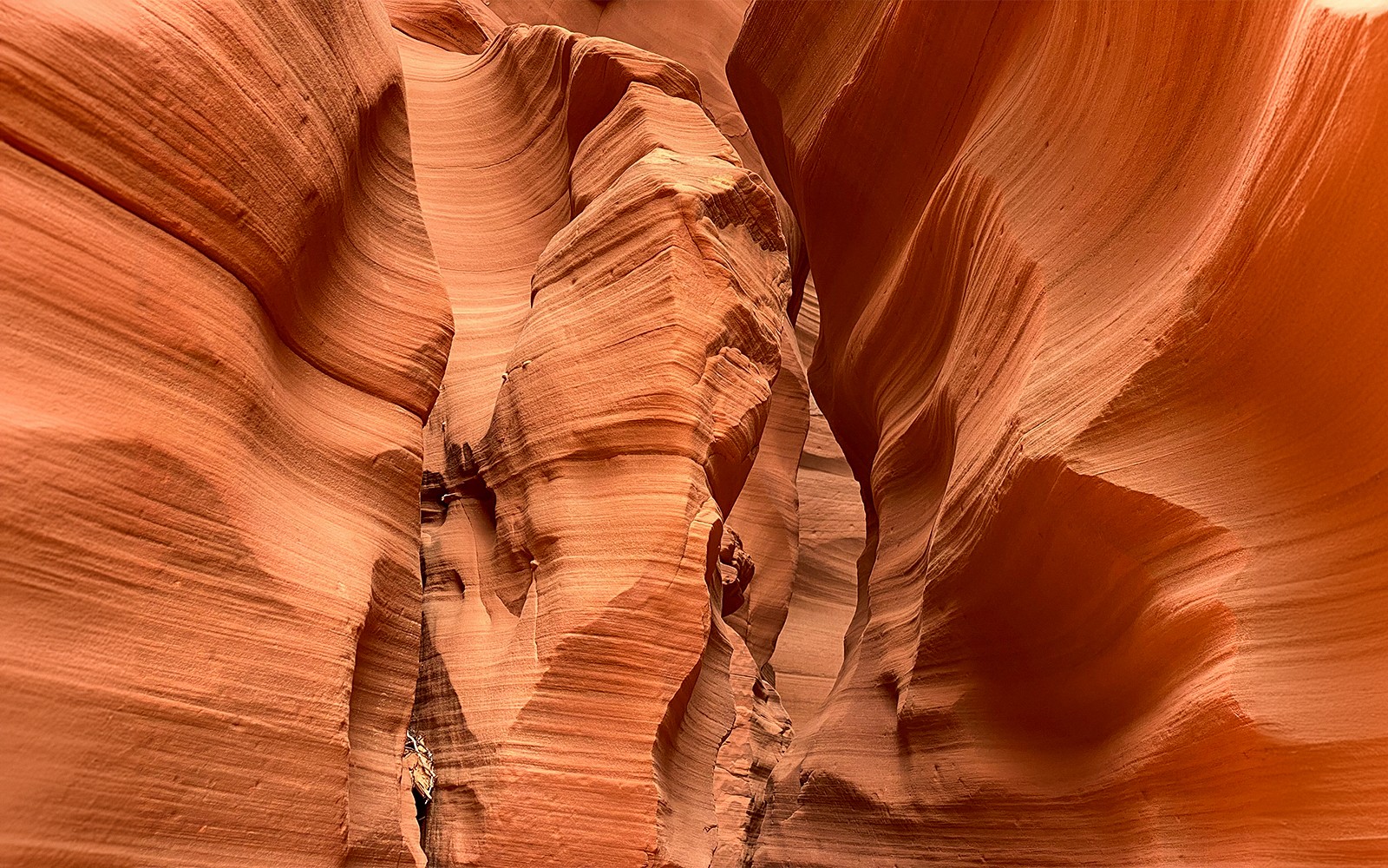 Antelope Canyon X Tour with Navajo Guide