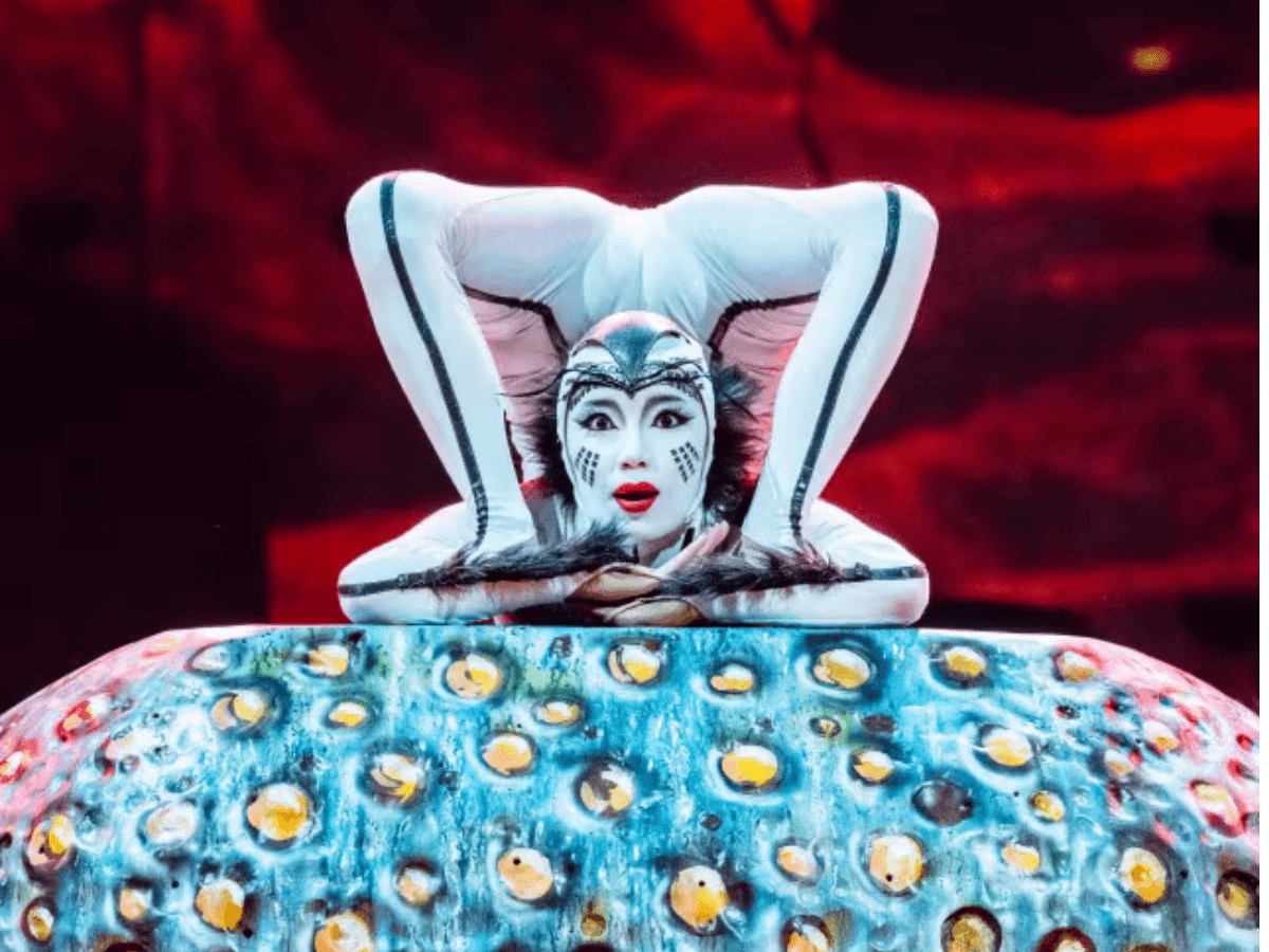 Cirque du Soleil OVO — gallery 1
