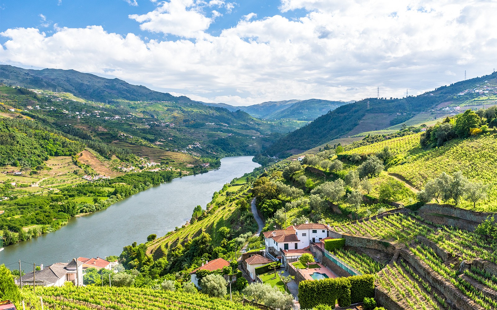 Classic Douro Valley Guided Tour with 1-Hour Pinhão Cruise, Traditional Lunch & Wine Tastings
