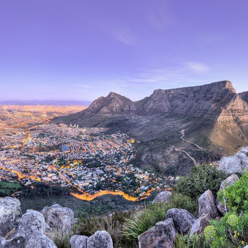 Cape Point & Table Mountain: Small-Group Guided Tour + Transfers — gallery 3