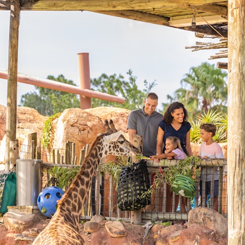ZooTampa at Lowry Park: Fast Track Ticket — gallery 4