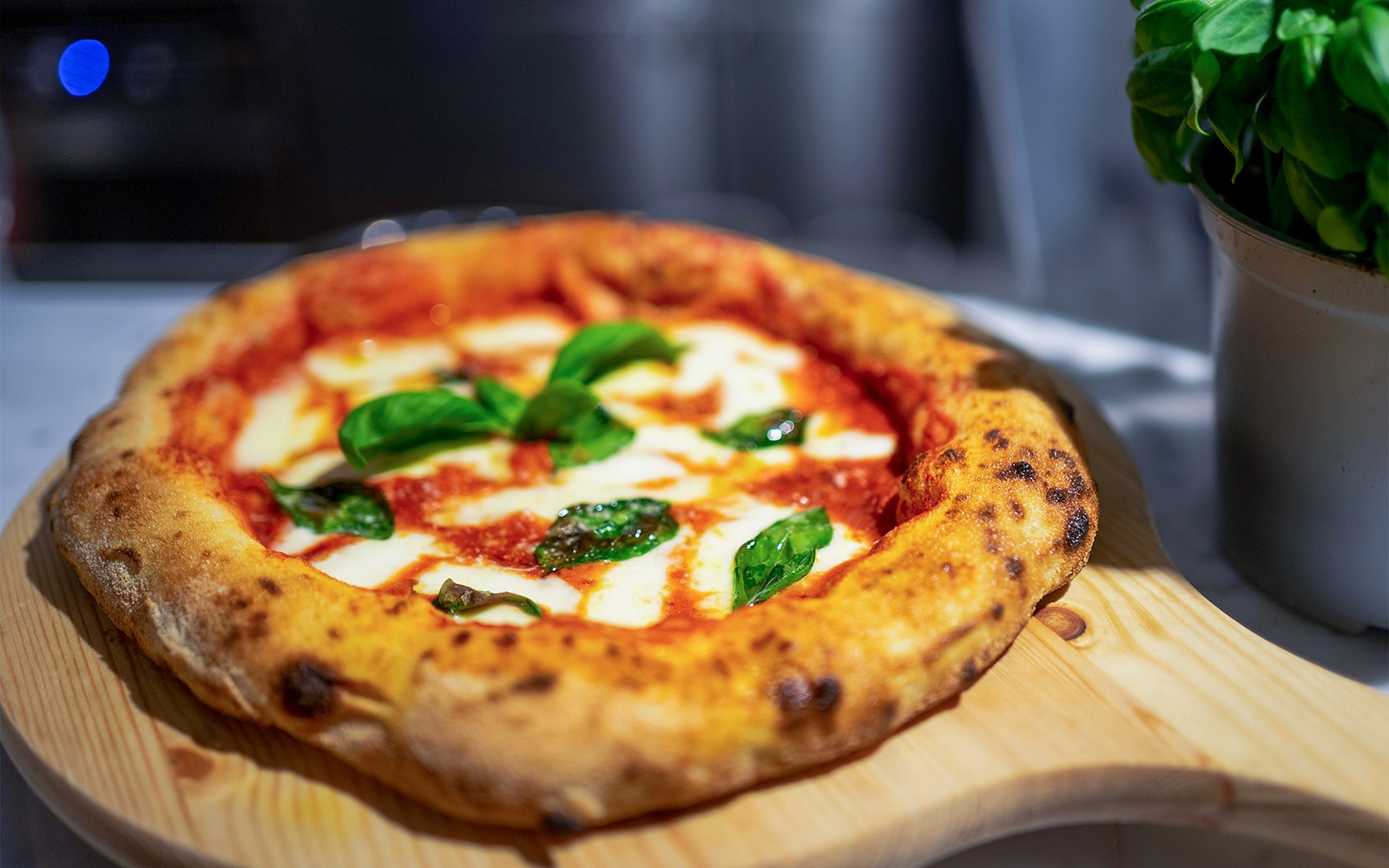 Gelato and Pizza Making Class in Milan — gallery 3