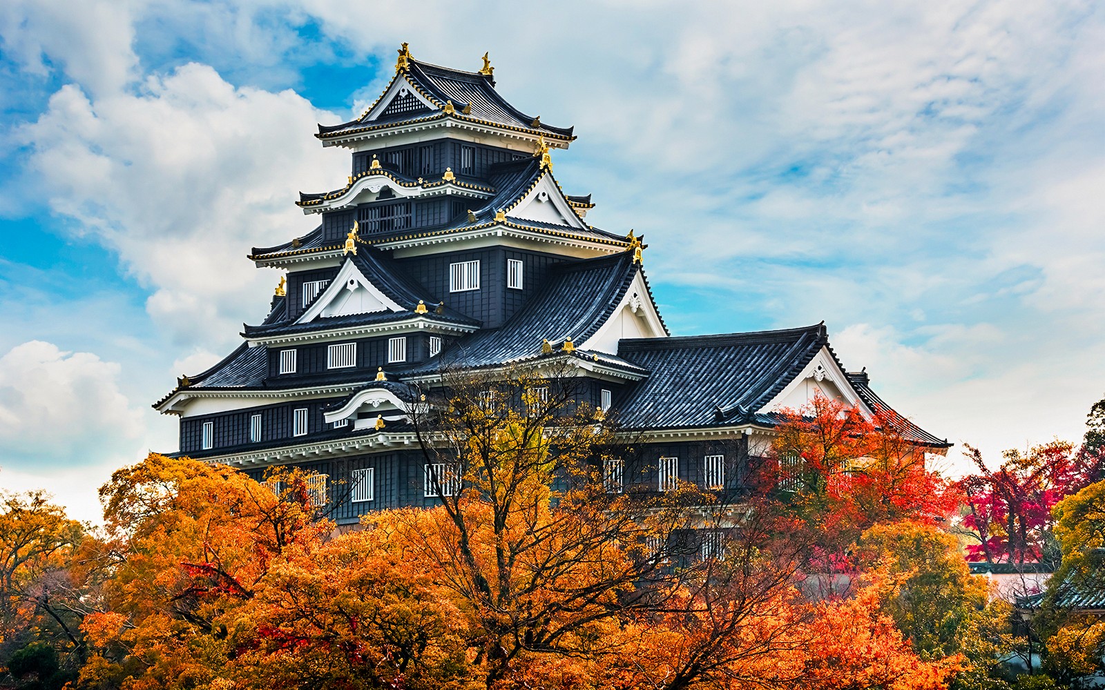 7 Day JR Setouchi Area pass