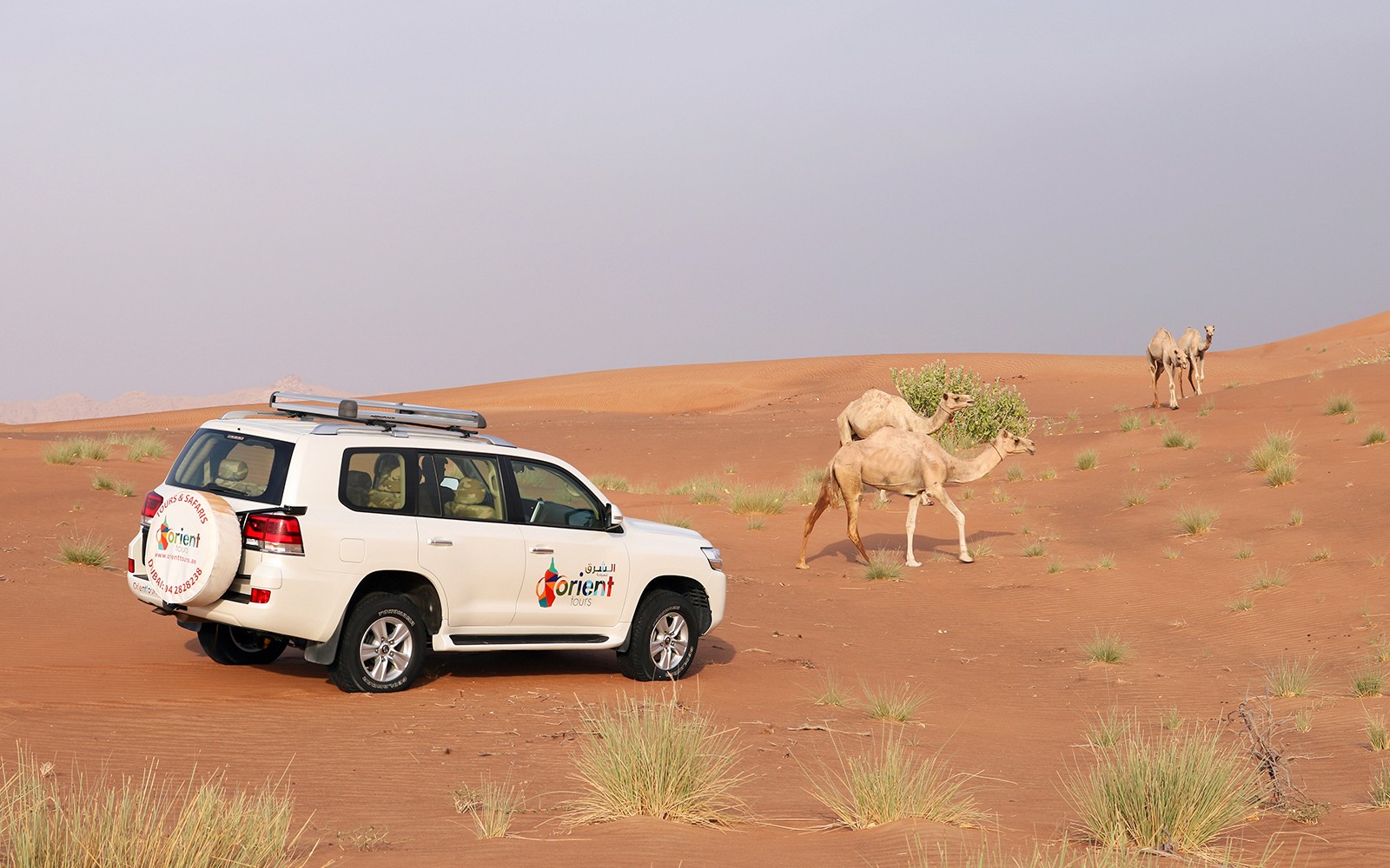 Abu Dhabi Sunrise Desert Safari with 4x4 Dune Bashing & Sandboarding — gallery 1