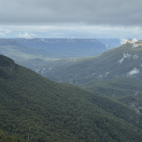Blue Mountains National Park: Day Tour from Sydney + Lunch — gallery 1