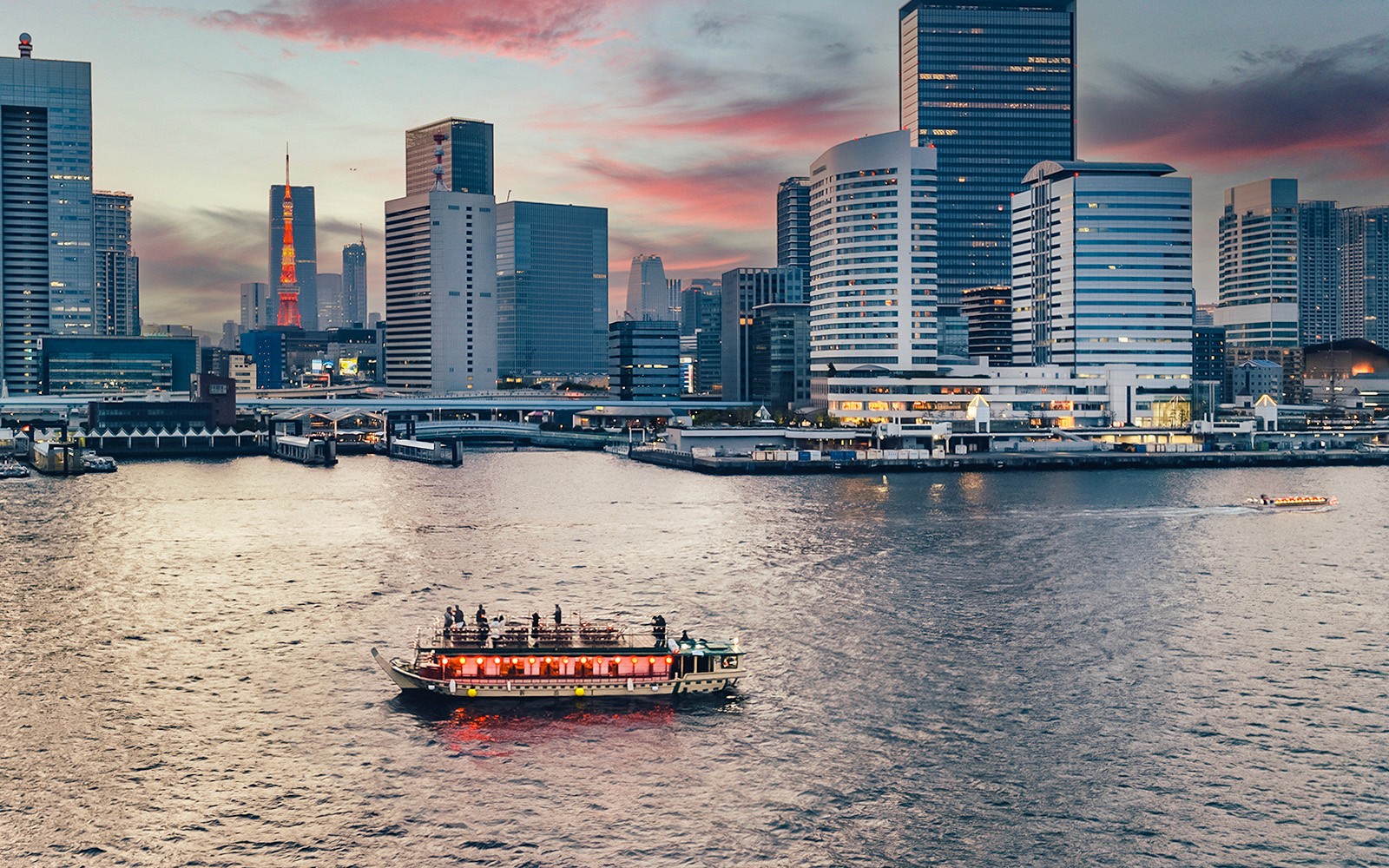 Traditional Yakatabune Hot Pot Cruise with Shamisen Show & Tokyo Tower Entry — gallery 5