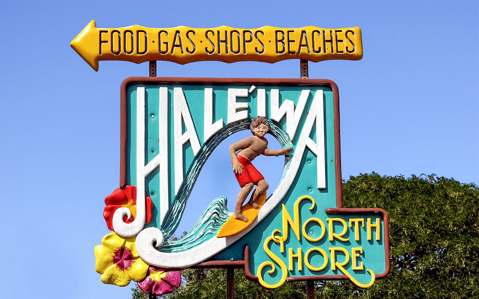 Haleiwa & Dole Plantation Express Half-Day Tour — gallery 4
