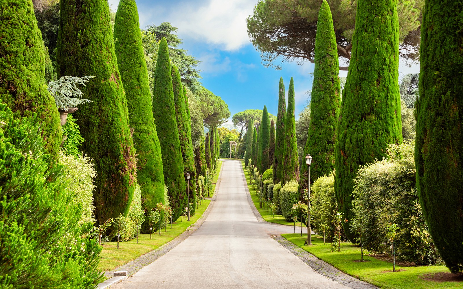 Castel Gandolfo Full Experience with Eco-Minibus Tour of Pontifical Gardens — gallery 2