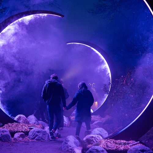 Astra Lumina: Currumbin Wildlife Sanctuary — gallery 1