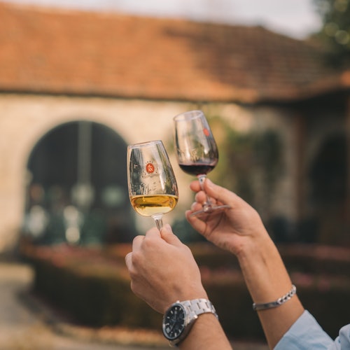 Taylor's Port Wine Cellar: Self-Guided Tour + Tasting