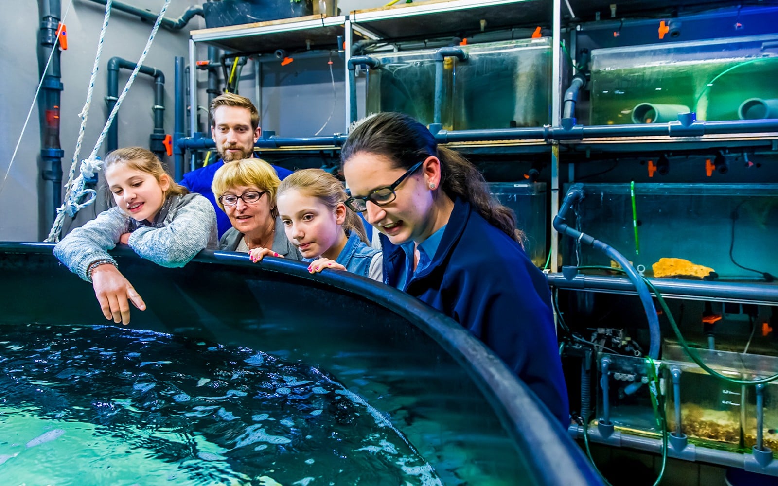 SEA LIFE London Aquarium Behind The Scenes Tour — mobile
