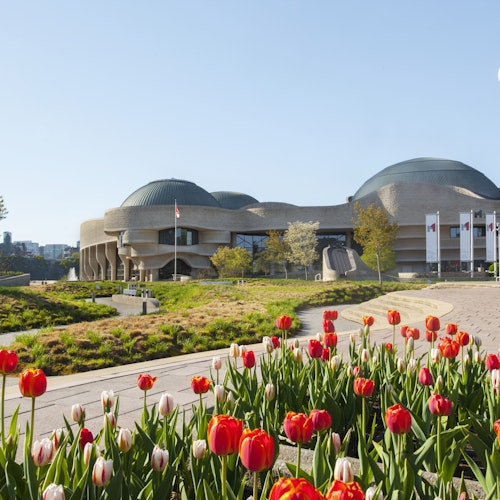 Canadian Museum of History: Skip The Line Ticket — gallery 4