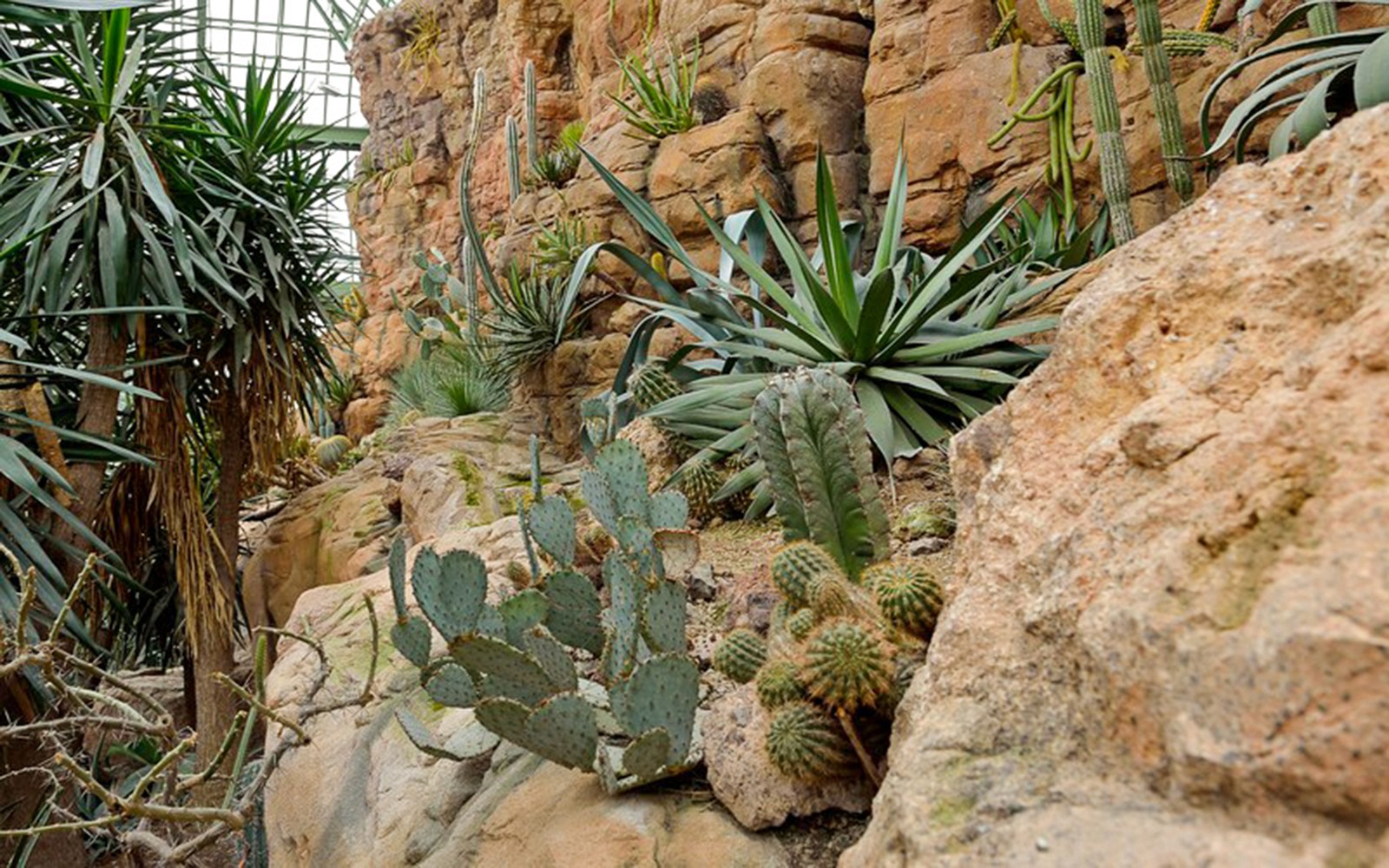 Desert House Skip-the-Line Ticket at Schönbrunn Zoo — gallery 1