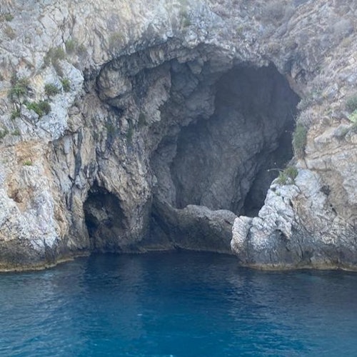 Taormina: Sunset Dolphin Tour + Aperitif — gallery 3