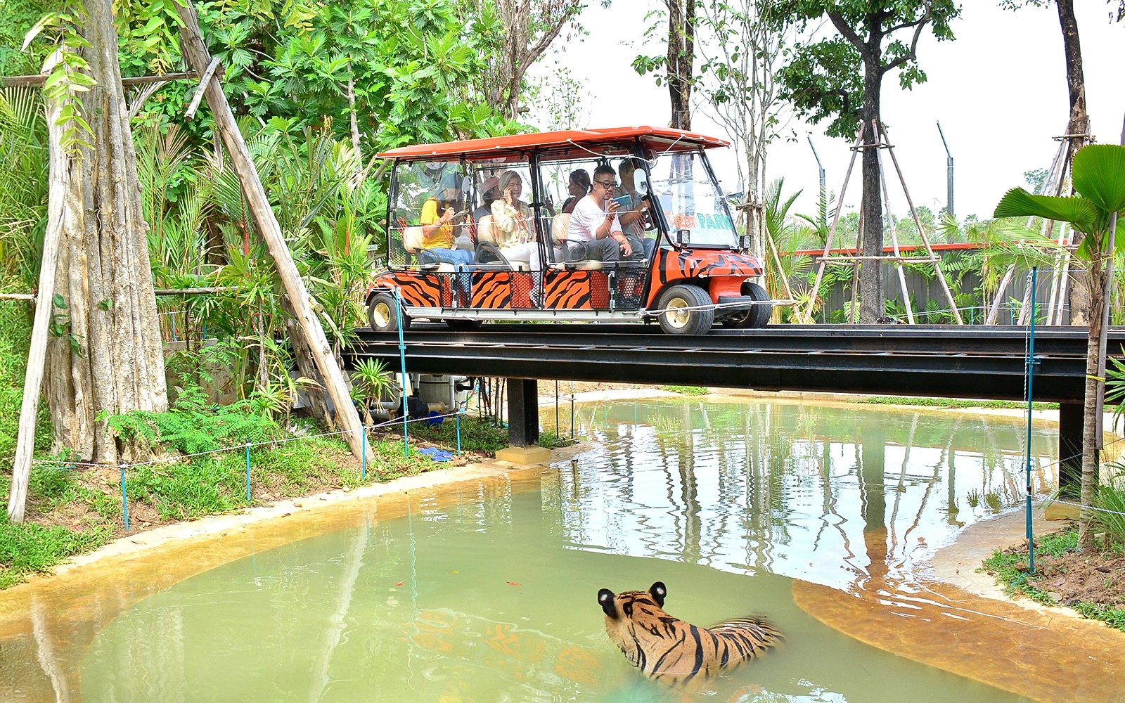 Tiger Park Tickets: Non-Thai Residents