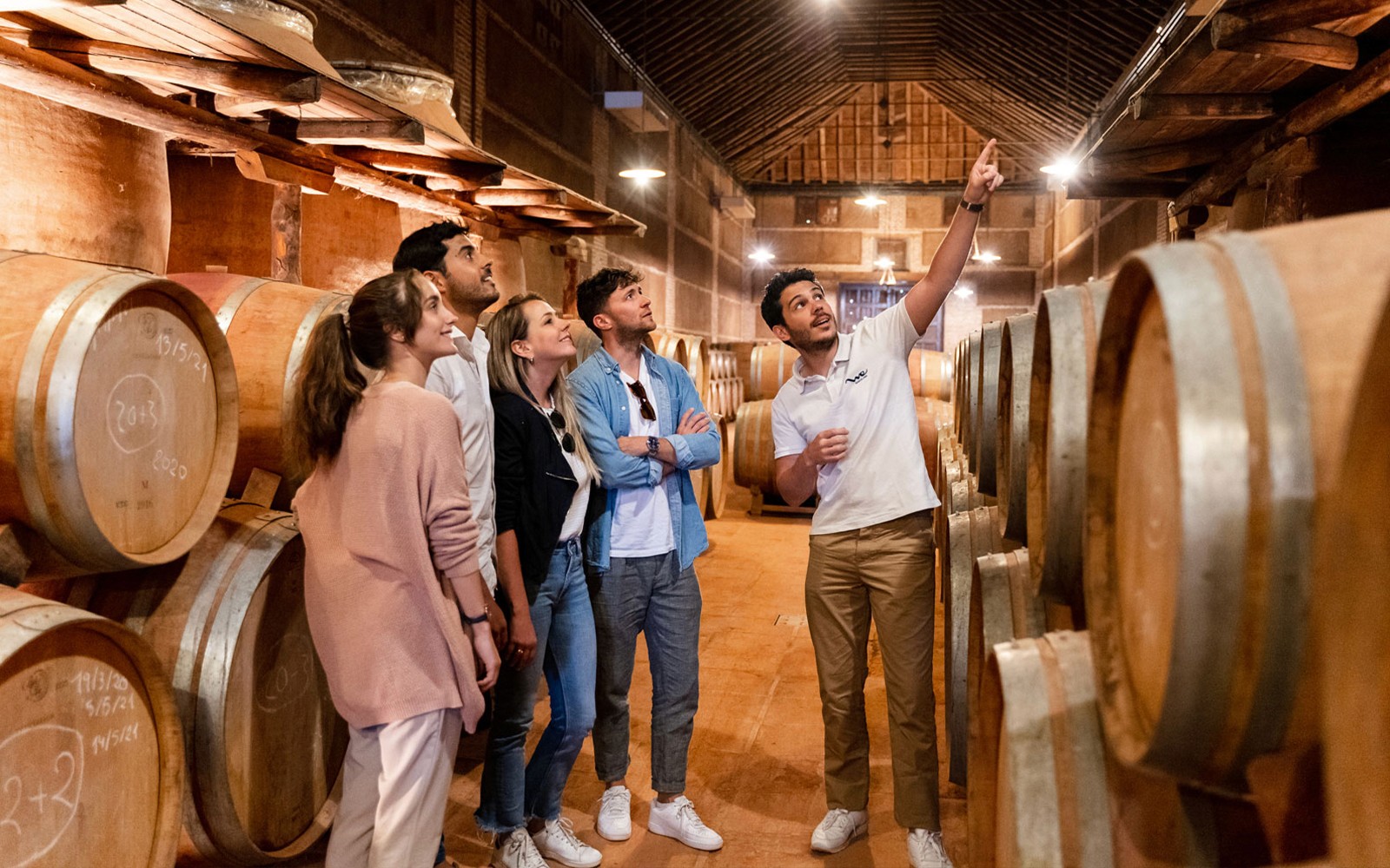 From Madrid: Toledo Day Trip with Vineyard Experience — gallery 1