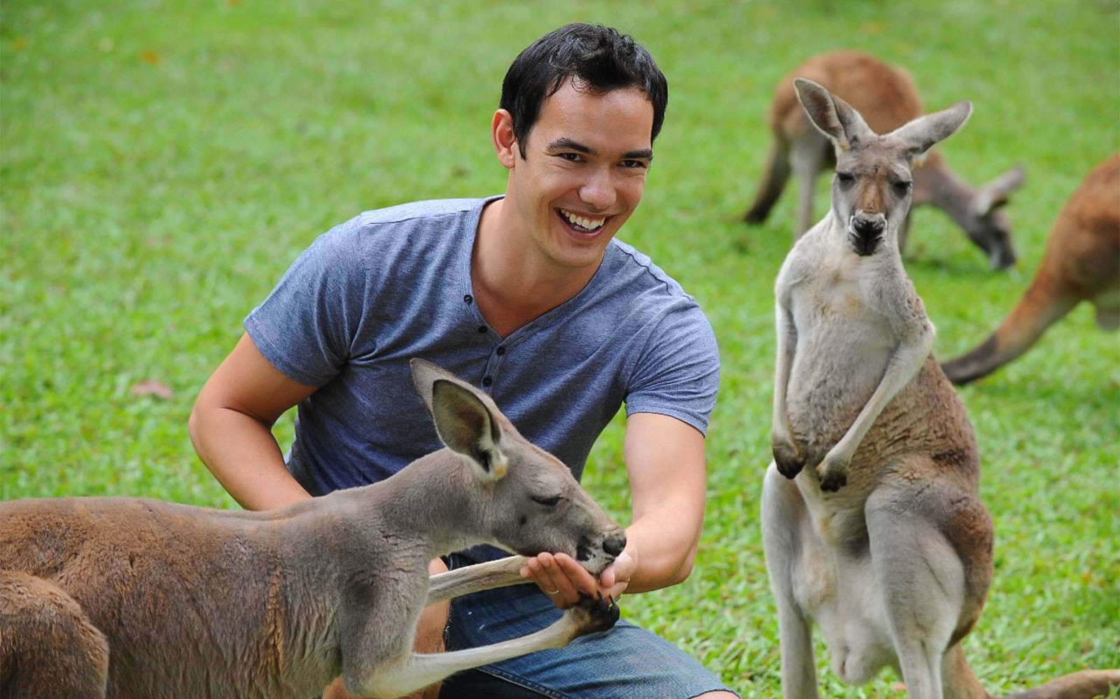 From Sunshine Coast: Australia Zoo Tickets with Transfers