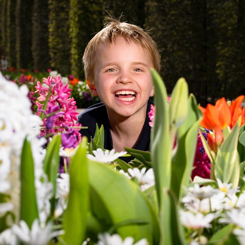 Keukenhof: Entry + Roundtrip Bus Transfer from A’dam Tower