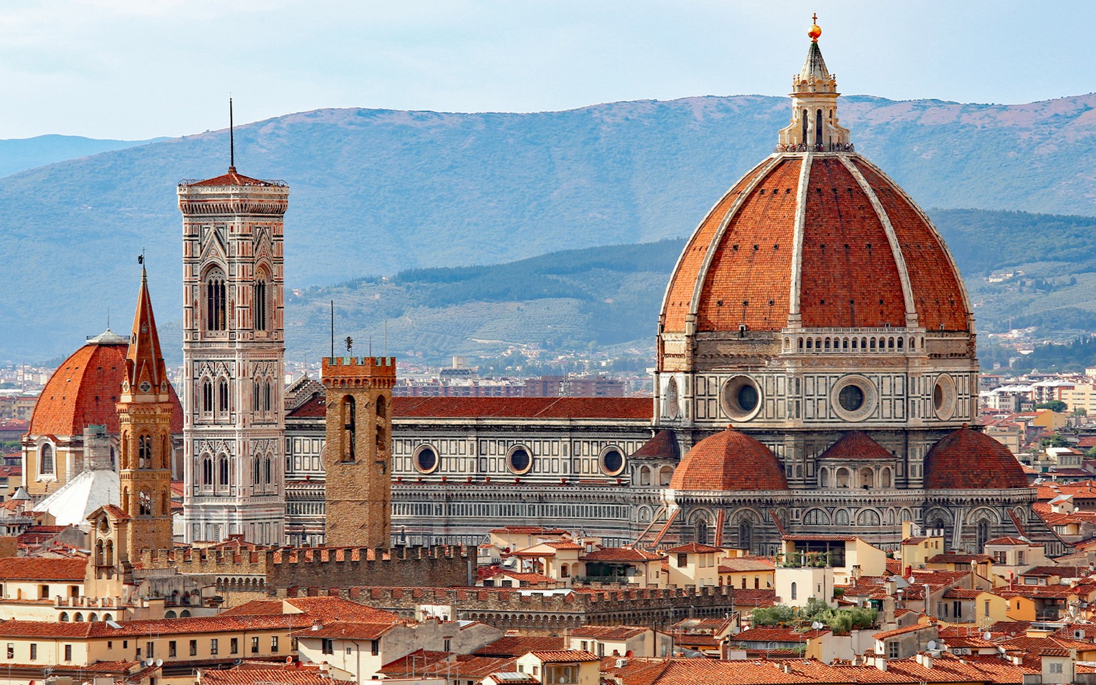 Florence Half-Day Guided Tour: City Centre & Uffizi Gallery with Optional Lunch