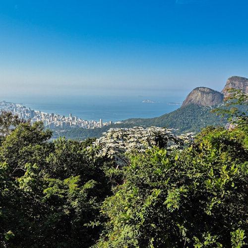 Tijuca National Park: Guided Jeep Adventure from Rio de Janeiro — gallery 1