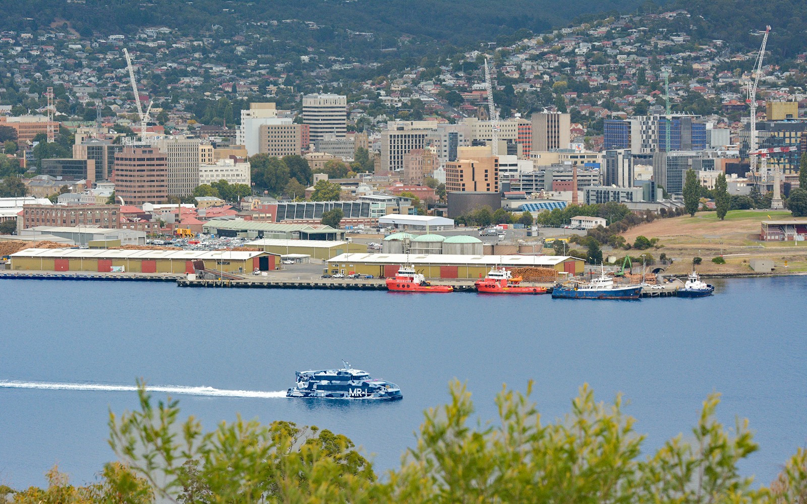 Full-Day Guided Tour of Mt Wellington with Tickets to MONA — gallery 3