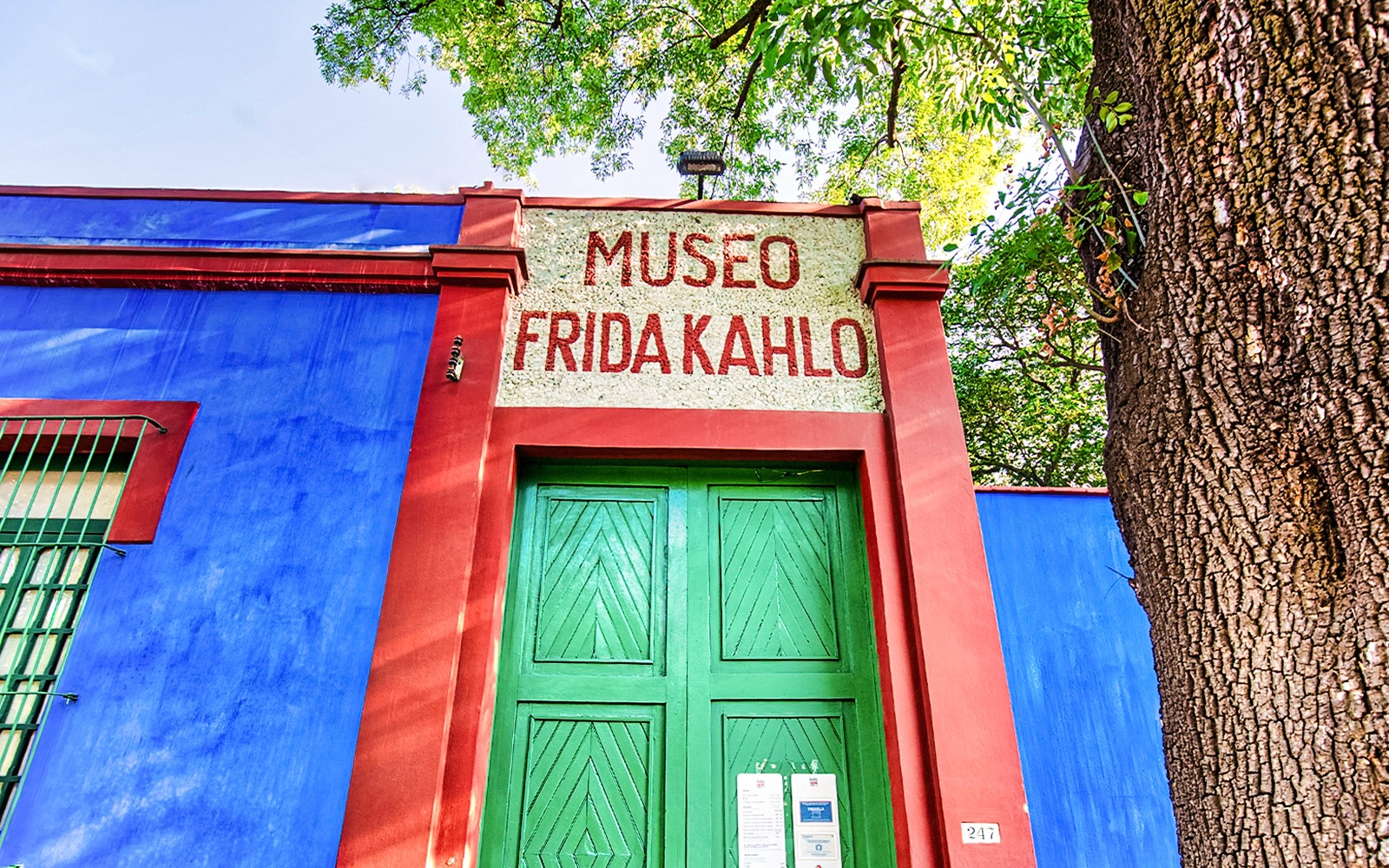 Full-Day Tour: Frida Kahlo Museum Tickets with Coyoacán Stroll & Xochimilco Boat Ride