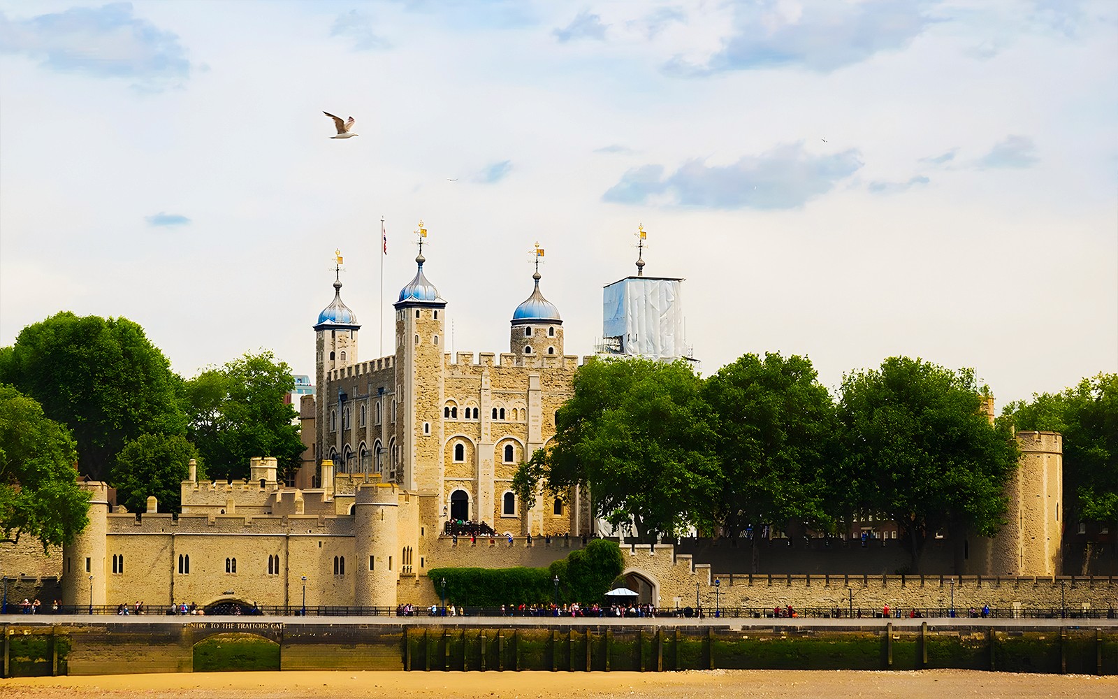 Guided Magic of London Tour with Afternoon Tea at Harrods — mobile