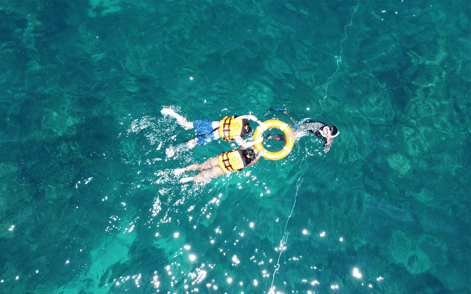 From Phuket: Phi Phi Island, Maya Bay & Bamboo Island Tour by Premium Speedboat with Lunch & Hotel Transfers — gallery 2