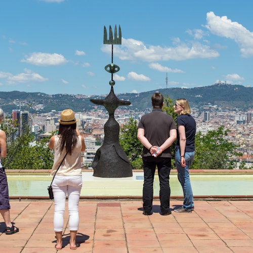 Barcelona Card: Public Transport + 40 Attractions