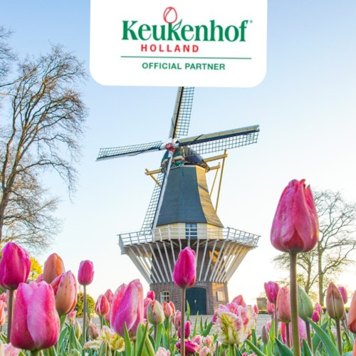 Keukenhof: Entry + Roundtrip Bus Transfer from A’dam Tower
