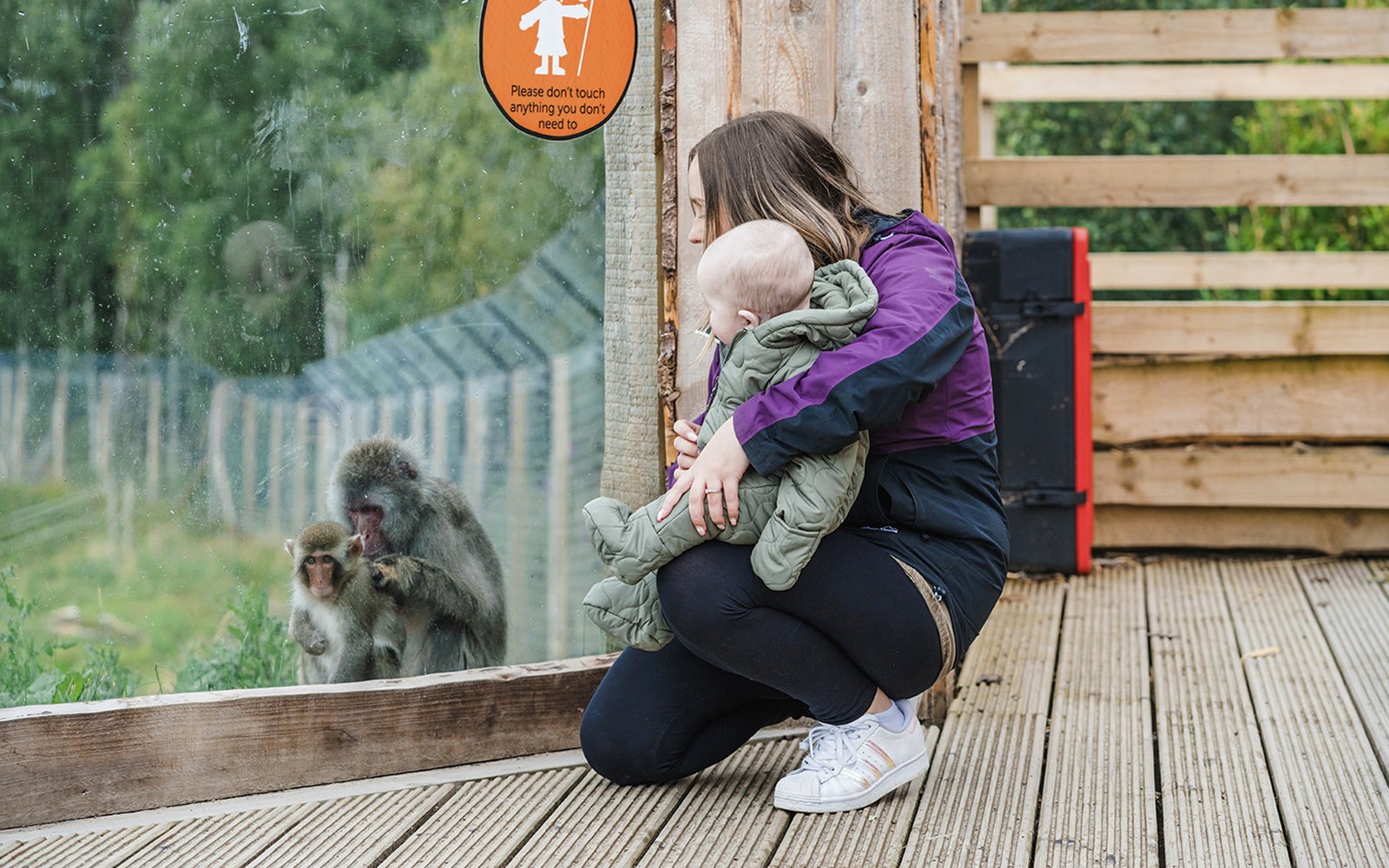 Highland Wildlife Park Entrance Tickets — portrait