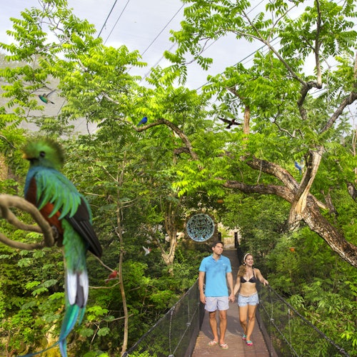 Xcaret Park: Entry Ticket + Transport — gallery 1