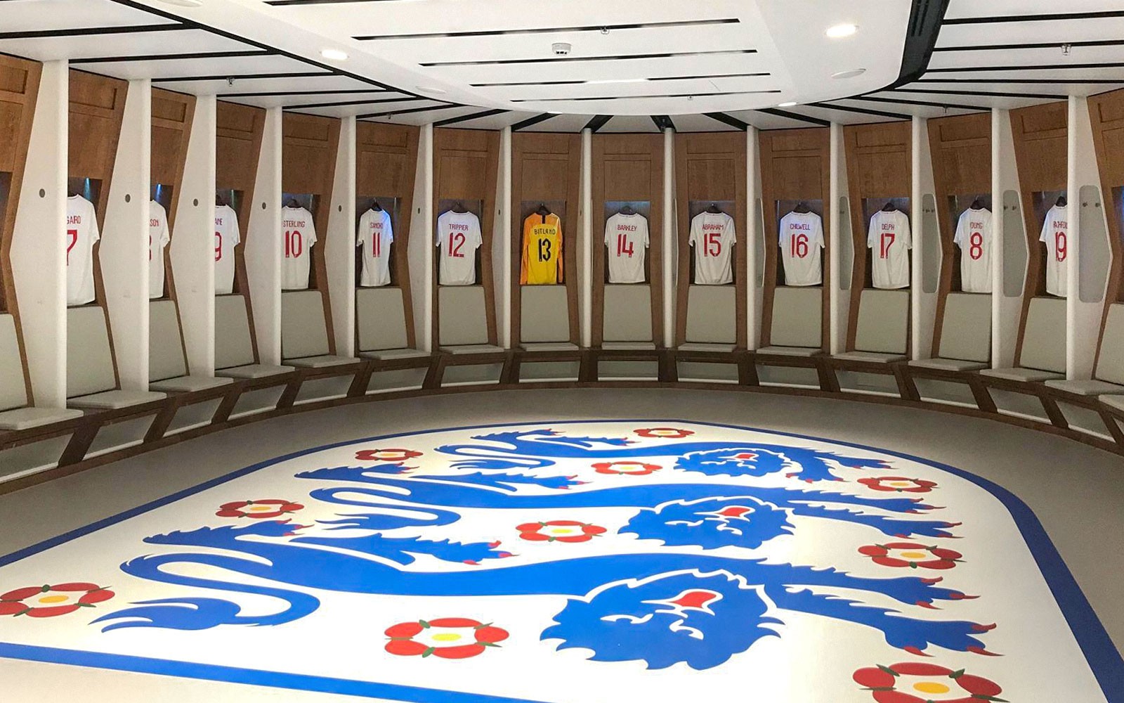 Wembley Stadium Guided Tour — portrait