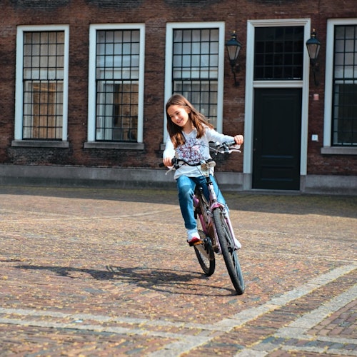The Hague Bike Tour — gallery 1