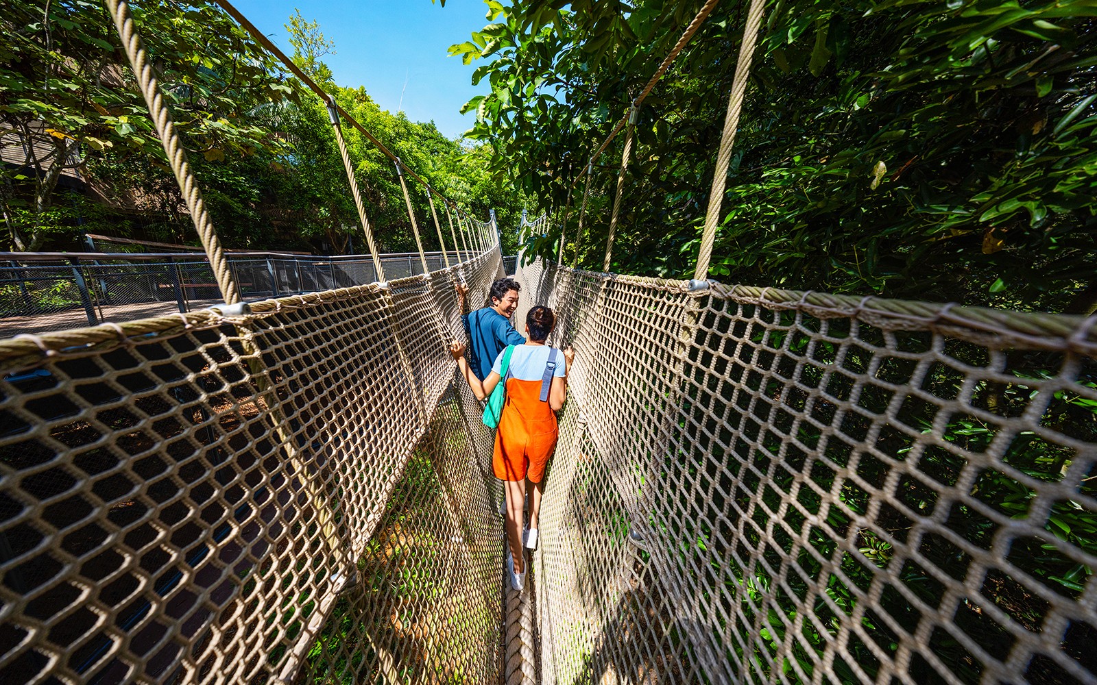 Rainforest Wild ASIA Tickets | Mandai Wildlife Reserve — gallery 3