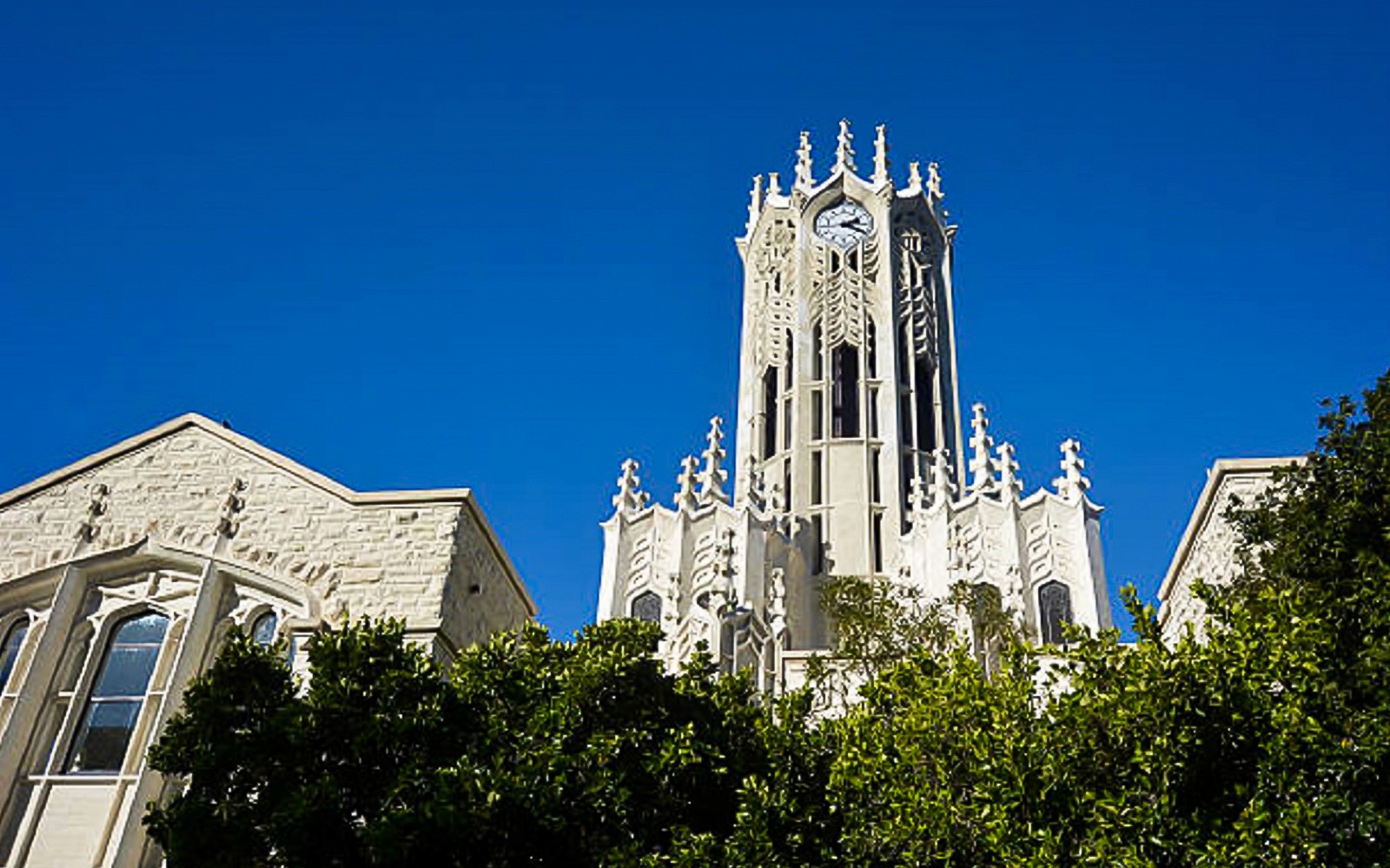Guided Small Group Walking Tour Through Auckland
