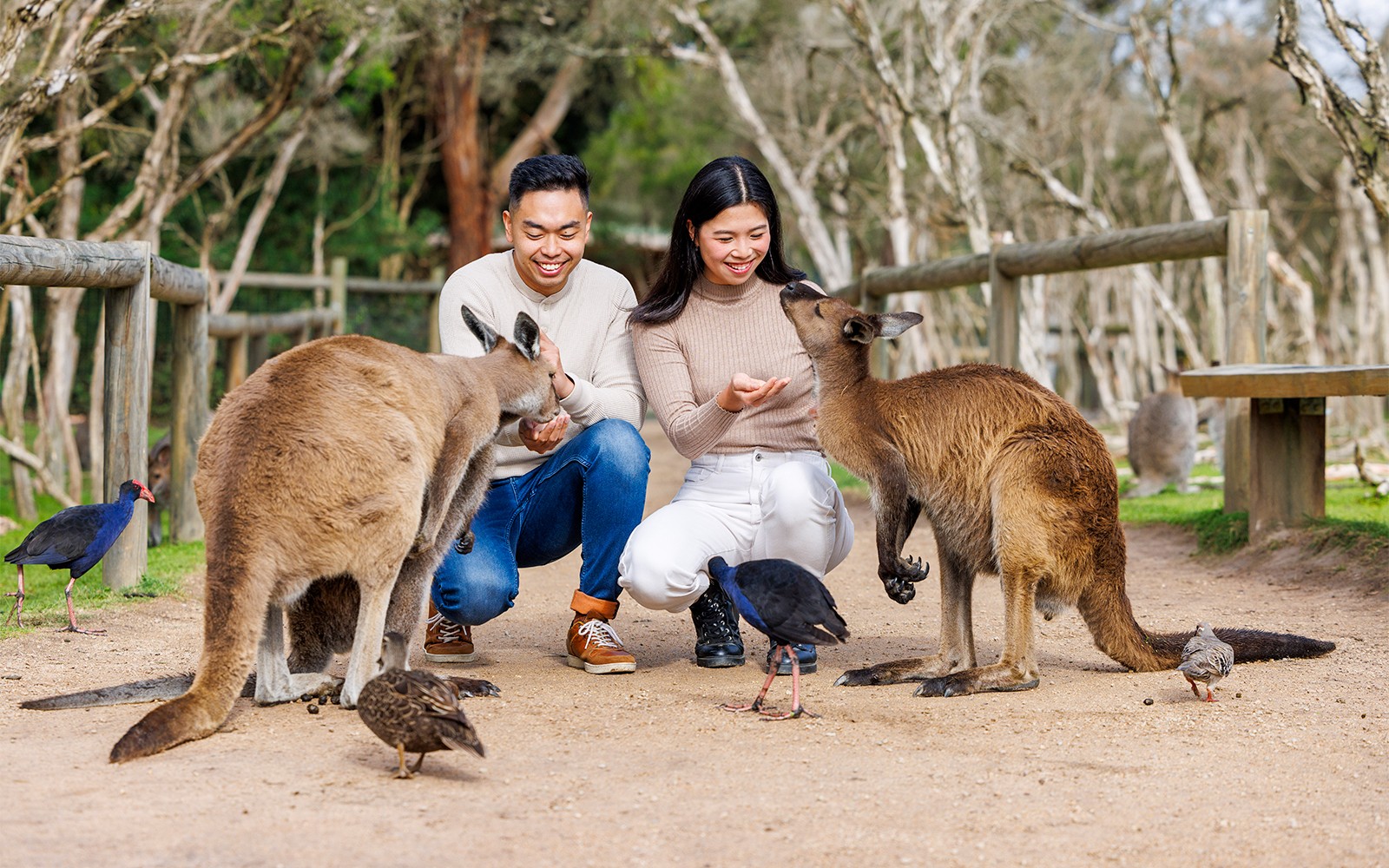 Moonlit Sanctuary Wildlife Park Admission Tickets