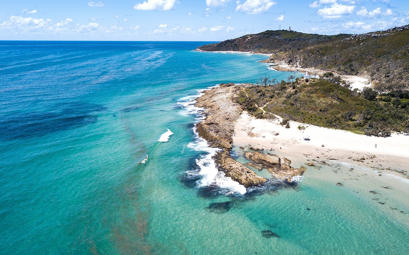 Moreton Island: Tangalooma Wrecks & Lighthouse Sightseeing Tour with Lunch — gallery 4