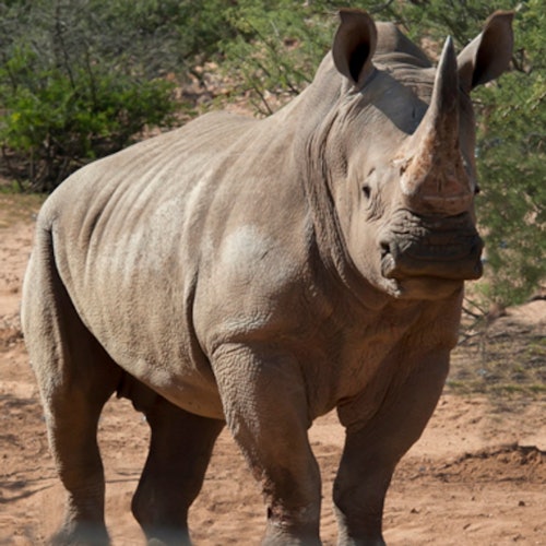 Out of Africa Wildlife Park: Entry Ticket — gallery 1