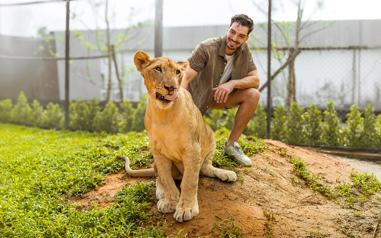 Lion Land Phuket Tickets — gallery 1
