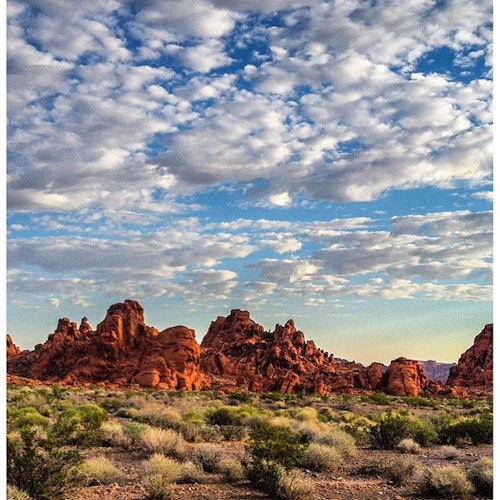 Valley of Fire, Seven Magic Mountains & Welcome to Las Vegas Sign: Guided Tour — gallery 4