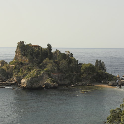 Regional Naturalistic Museum of Isolabella: Entry Ticket