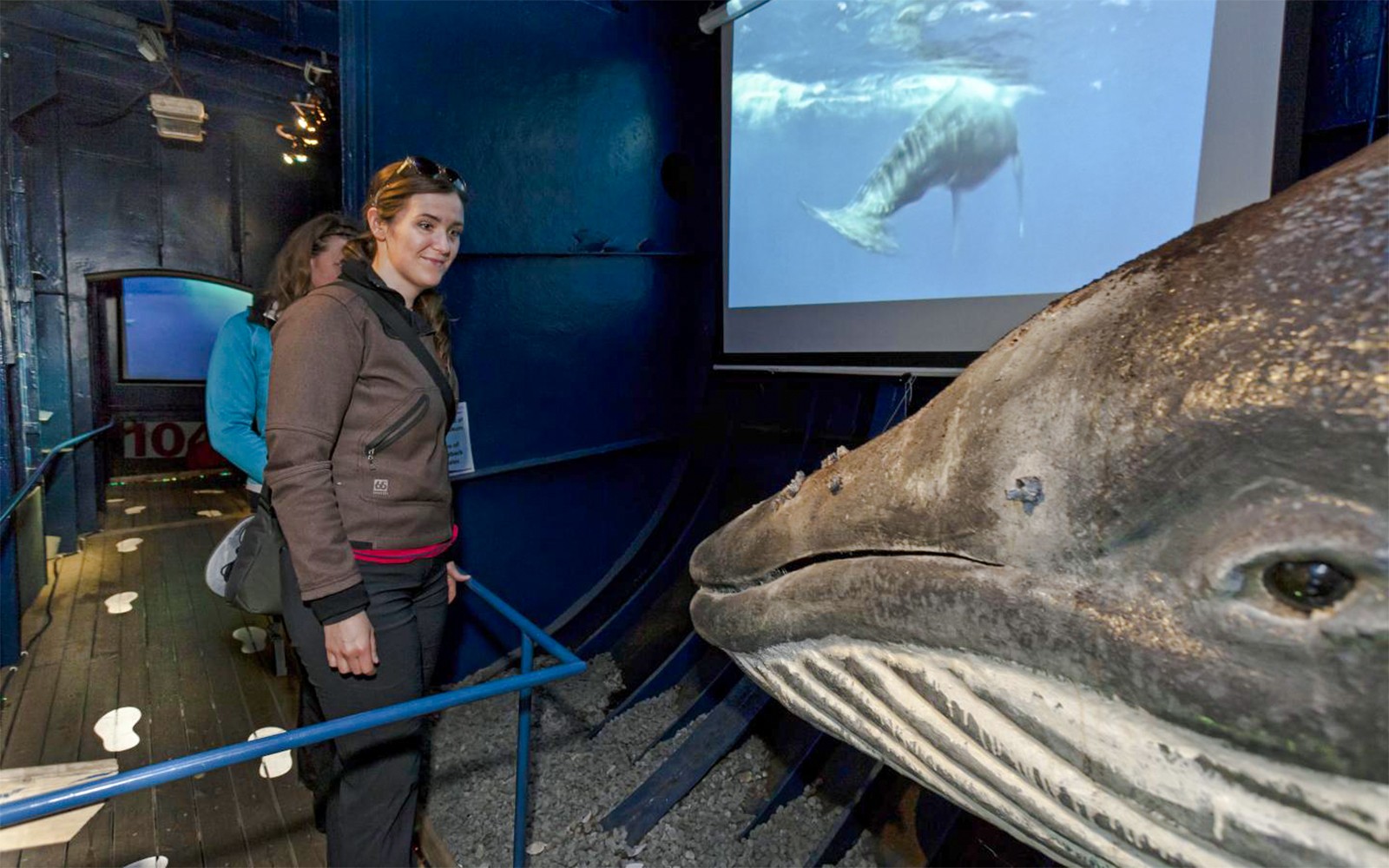 From Reykjavik: Midnight Sun Whale Watching Tour — gallery 5